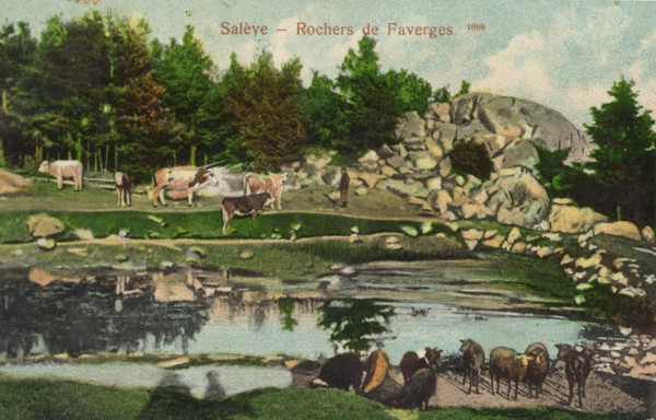 Troupeau près de l´étang de Faverges (v. 1910)