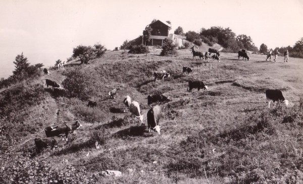 Chalet de la Table d´Orientation devenu Centre bouddhiste Shedrub Choekhor Ling