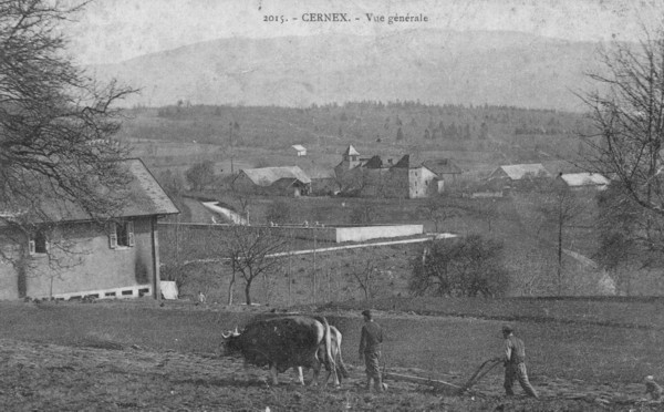 Scène de labour à Cernex