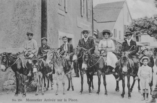 Les ânes de Monnetier