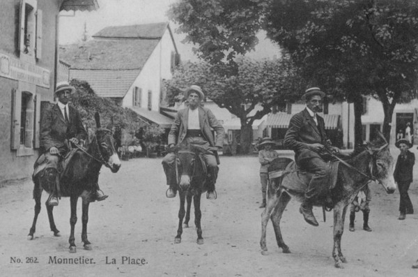 Les ânes de Monnetier