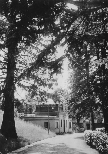 Bois Salève au Pas de l´Echelle