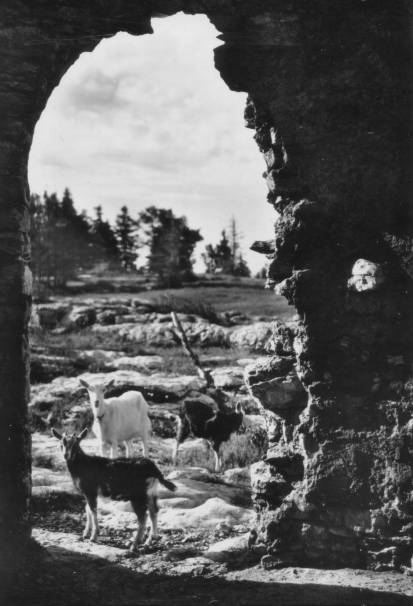 La tour Bastian au Grand Piton (Etat 4)