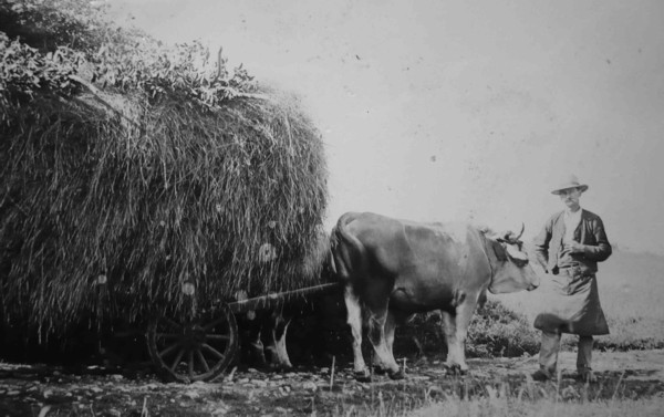 Char de foin au Salève (1898)