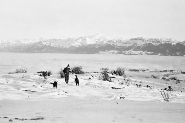 Au sommet du Salève en hiver (déc. 1939)