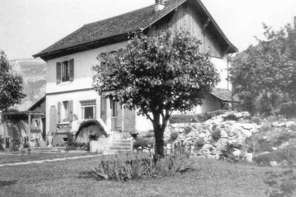 Rocailles du jardin de la villa Carpe Diem à Blécheins (juillet 1935)