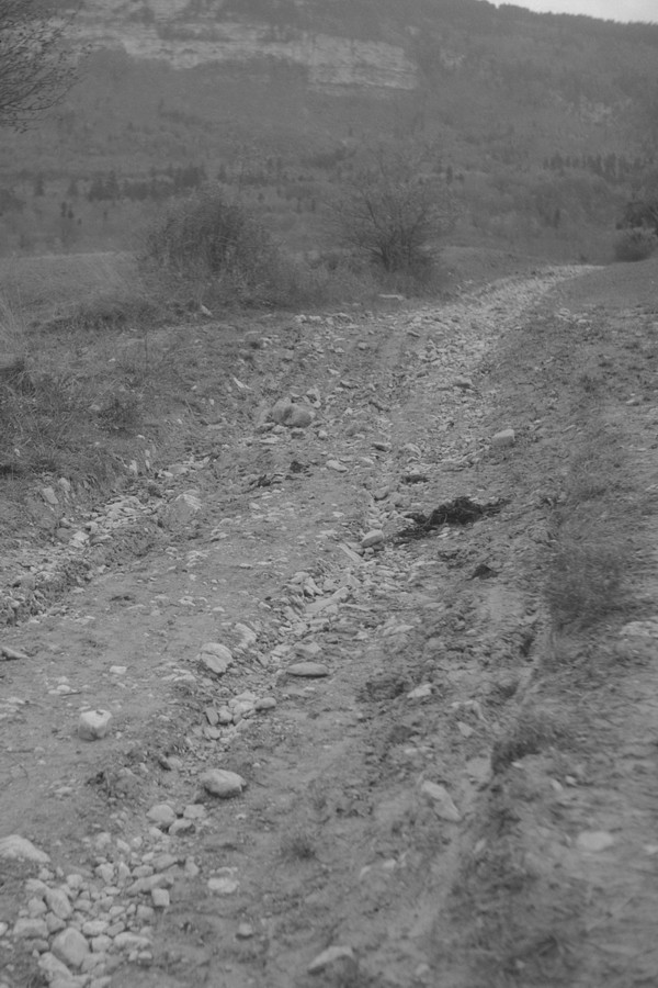 Future Route Forestière (sept. 1949)