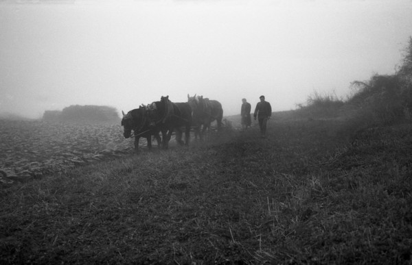 Les labours (nov. 1936)