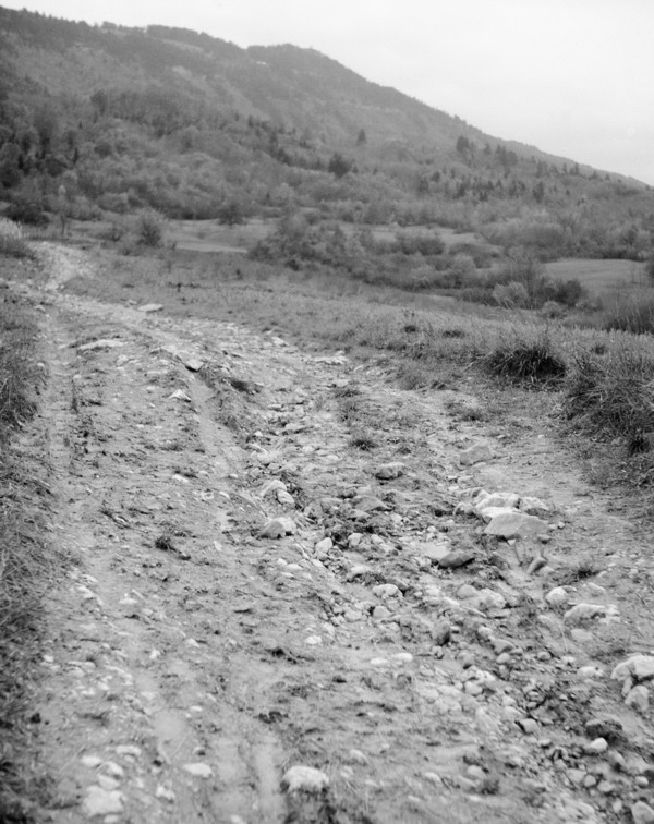 Future Route Forestière (sept. 1949)