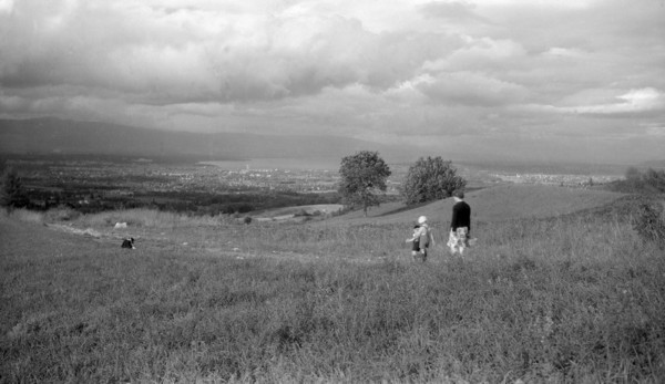La future Route Forestière (1947)