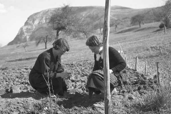 Jardinage à Montfort (mars 1936)