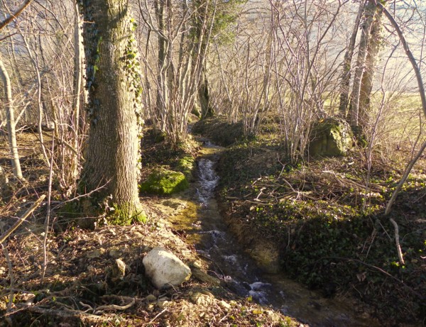 « Le Ruisseau », poème de Théophile Gautier (1869)
