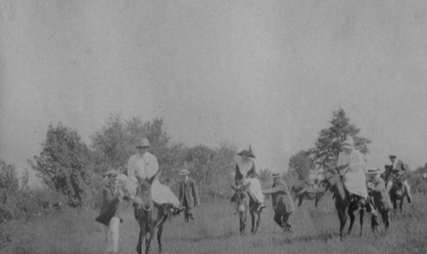 Promenade à dos d'ânes au Salève