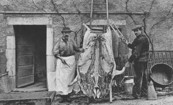 Louis Ravex, boucher