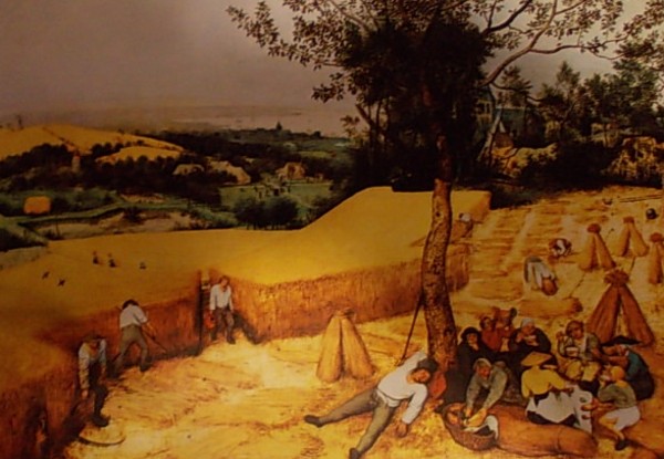 « La Moisson » par Pierre Brueghel l'Ancien (1565)