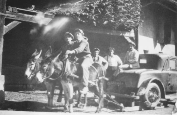 Les ânes traînant la voiture Amilcar de Roger Hauser