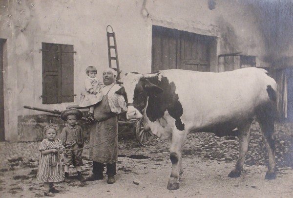 Ferme d'André Mégevand à Moisin (v. 1907)