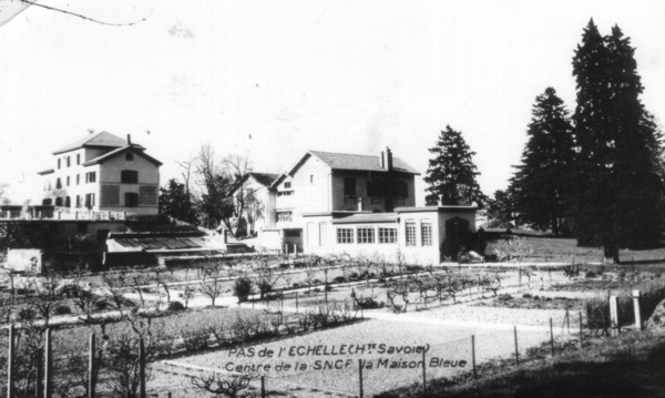 Bois Salève au Pas de l´Echelle