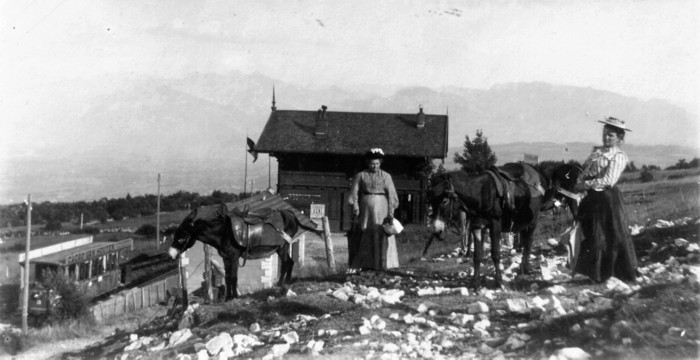 Anes et chemin de fer (v. 1900)