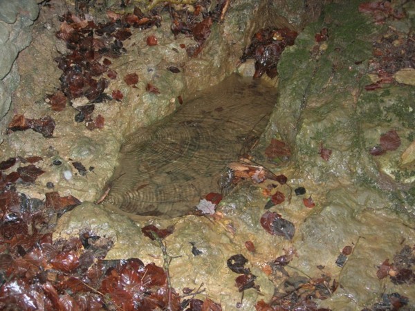 Fontaine « du » ou « au » Renard (26 février 2007)