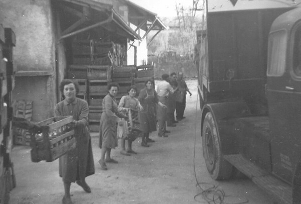 Déchargement d'un semi-remorque de caisses de vin  à Chenex (v. 1960)