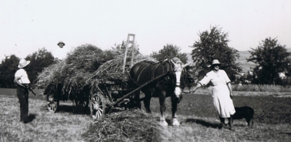 Fenaisons à Vovray-en-Bornes (1939)