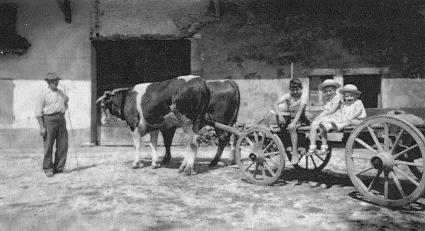 Attelage de bœufs avec trois  enfants de Vovray (1941)