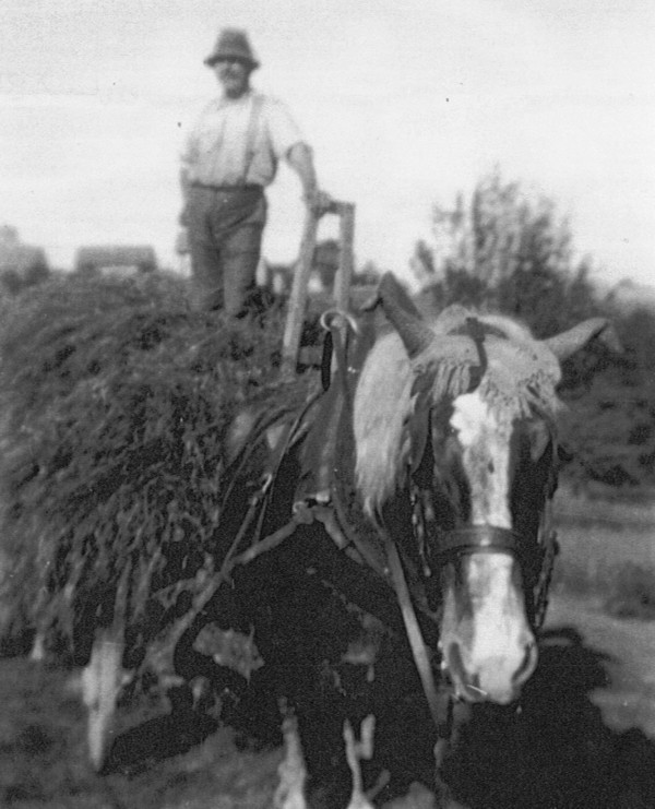 Fenaisons à Vovray-en-Bornes (1941)