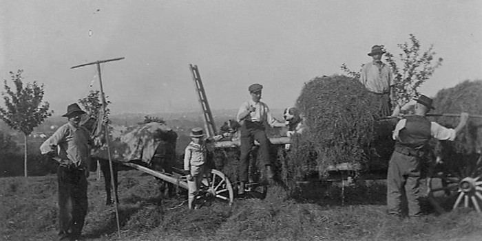 Fenaisons à Archamps vers 1925