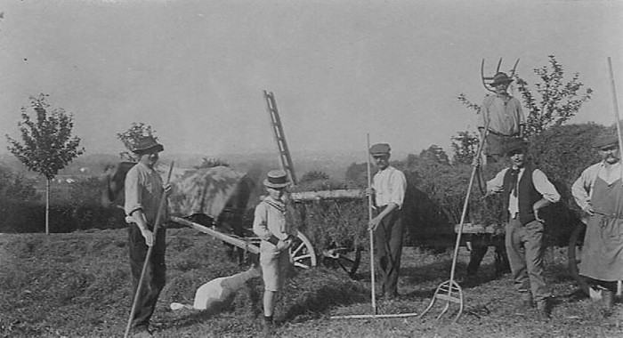 Fenaisons à Archamps vers 1925