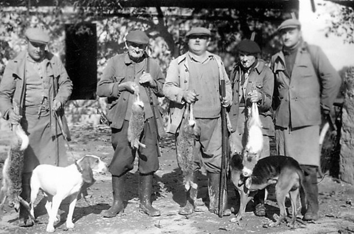 Chasseurs avec chiens, lièvres et... lapin (1954)