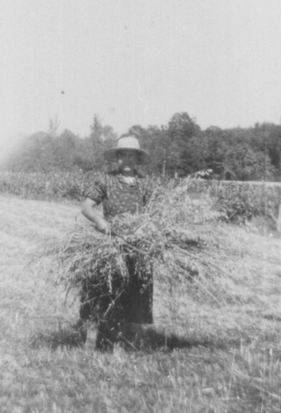 Les moissons (vers 1947)